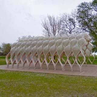 Chicago Scavenger Hunt: A Day At The Zoo 2
