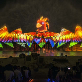 Wings of Time: outdoor night show! 5