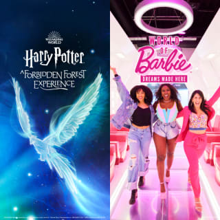 World of Barbie + Harry Potter: Forbidden Forest Bundle 1