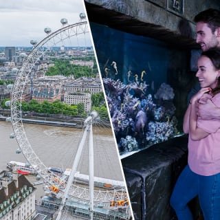 London Eye & SEA LIFE Aquarium 1