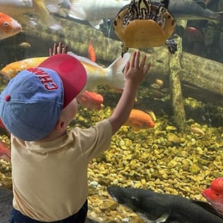Acuario interactivo y reserva de animales de Houston 10