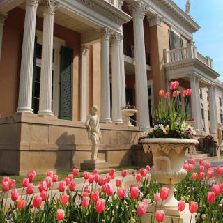 Belmont Mansion Tour 3