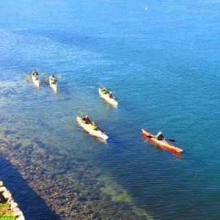 Excursión ecológica guiada en kayak de medio día por el Puerto Medio de Sídney 2