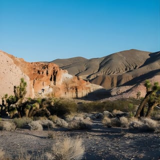 Red Rock Canyon Tour Audio Autoguidato 14