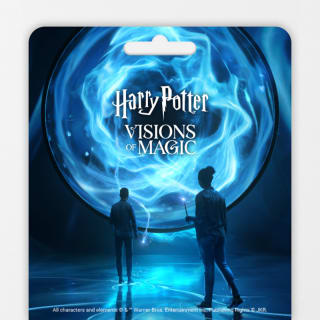 Harry Potter : Visions de la magie – Carte cadeau 2