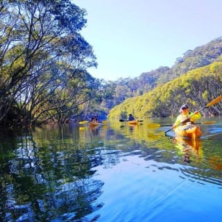 Excursión ecológica guiada en kayak de medio día por el Puerto Medio de Sídney 3