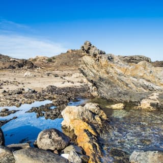 Excursión en barco al Cap de Creus, Cadaqués y Portlligat 10