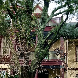 Witches of Uptown New Orleans Walking Tour 6