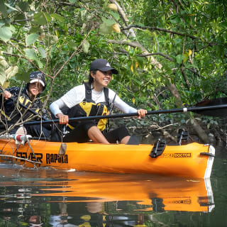 Kayak Sailing en Singapur, Manglar, Kelong y Pulau Ubin, comida con marisco incluida 11