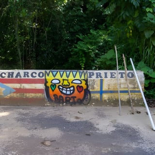 Charco Prieto Hidden Waterfall Adventure from San Juan 8