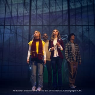 Harry Potter : Visions de la magie – Carte cadeau 5