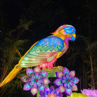Luminosa 2026 — Miami, Reimagined in Light 4
