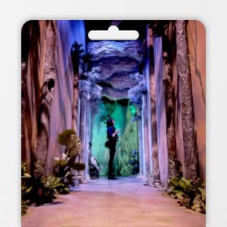 Shiki Dreams: An Immersive Art Experience - Gift Card 1