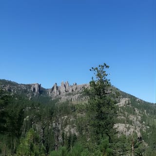Bus Tour of Mount Rushmore and the Black Hills 3