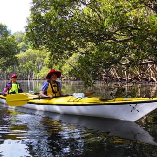 Excursión ecológica guiada en kayak de medio día por el Puerto Medio de Sídney 6
