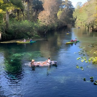 Descente de la rivière Silver Springs en canoë et observation de la faune 23