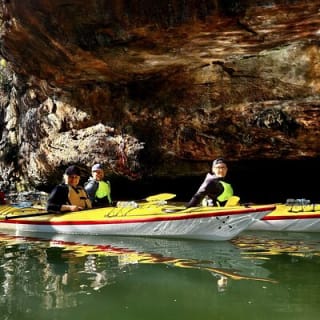 Excursión ecológica guiada en kayak de medio día por el Puerto Medio de Sídney 7