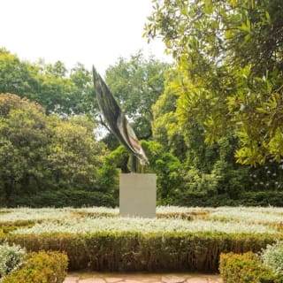 Serralves Park: admission ticket and Treetop Walk 13