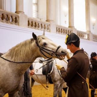 Spanische Hofreitschule Wien: Besuch im Training 18