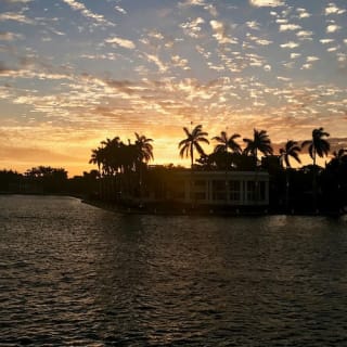 Jungle Queen Riverboat: Famous Sightseeing Cruise of Fort Lauderdale 7