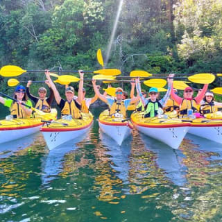 Excursión ecológica guiada en kayak de medio día por el Puerto Medio de Sídney 8