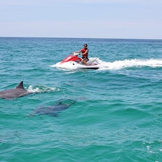 Crab Island Dolphin Jetski Adventure  3