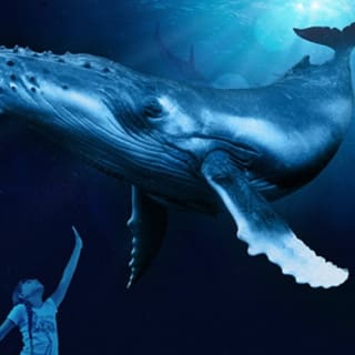 Palma Aquarium: Free entry + Optional 3D Aquadome Cinema 25