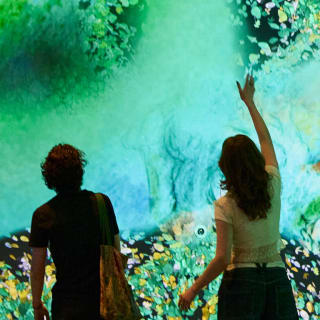 L’homme qui plantait des arbres: un récit immersif 4