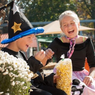 Dutch Wonderland: Happy Hauntings Entry Ticket 17