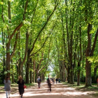 Serralves Park: admission ticket and Treetop Walk 14