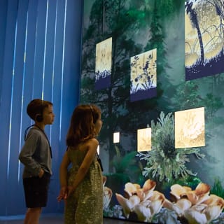L’homme qui plantait des arbres: un récit immersif 6