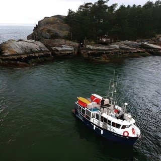 Morning Kayak & Seal Cruise 6