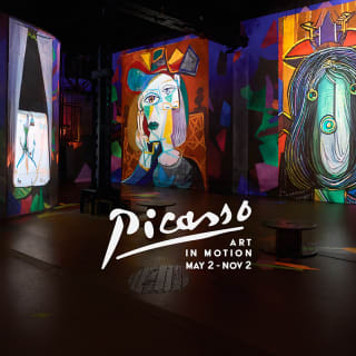 Picasso: Art In Motion 1