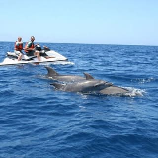 Crab Island Dolphin Jetski Adventure  5