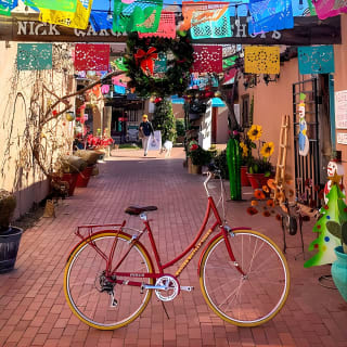 Tienda de bicicletas en Albuquerque 13