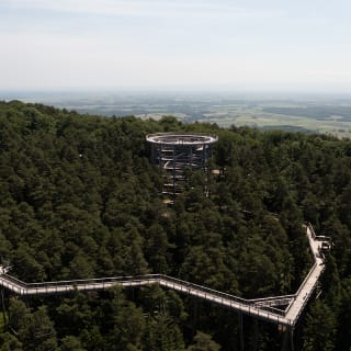 Le Chemin des Cimes Alsace 3