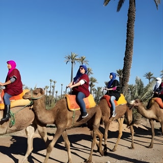 promenade d'une heure à dos de chameau et promenade d'une heure en quad à Marrakech. 6