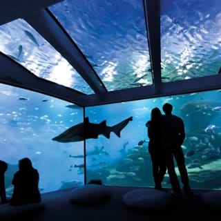 Palma Aquarium: Free entry + Optional 3D Aquadome Cinema 29