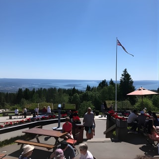 Oslo Panorama Tour with Holmenkollen Ski Jump and Vigeland Park 11