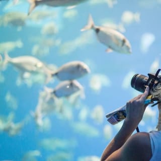 Palma Aquarium: Free entry + Optional 3D Aquadome Cinema 30