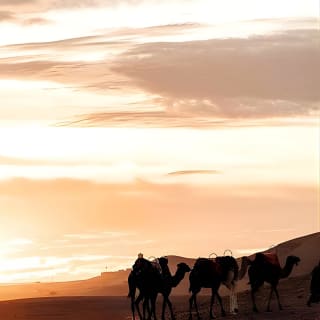 Coucher de soleil & Dîner dans le désert Agafay Marrakech avec les chameaux 5