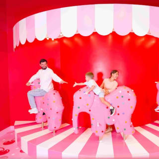 Museum of Ice Cream Miami: Eintrittskarte 17