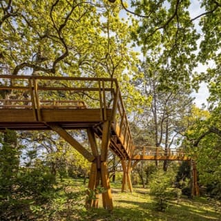 Serralves Park: admission ticket and Treetop Walk 17