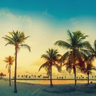 Big Bus Miami : visite touristique de nuit 6