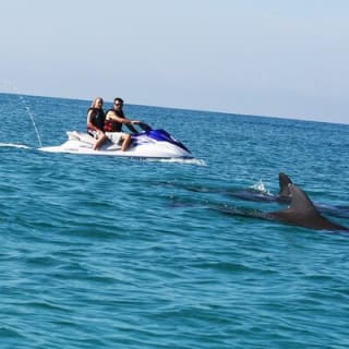 Crab Island Dolphin Jetski Adventure  9