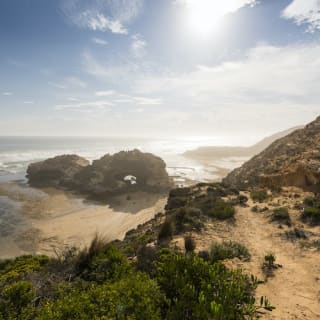 Mornington Peninsula: Bay Cruise & Sightseeing from Melbourne 2