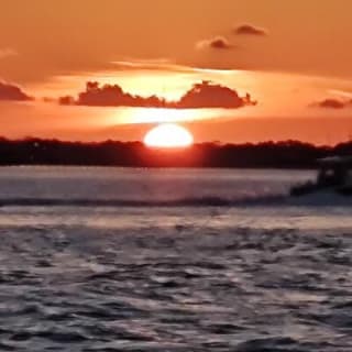 2 Hours Swim with the Dolphins in Panama City 7