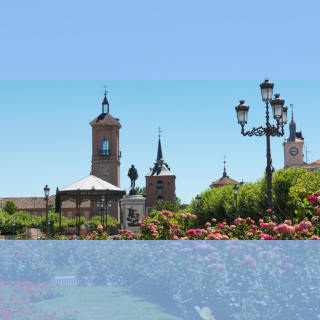 Visita Municipal Alcalá de Henares 1