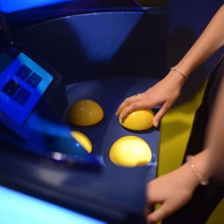 Quiz Room Perth: Immersive Gameshow Experience 4