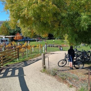 The Ultimate Lake Dunstan Bike Hire And Boat Experience 2